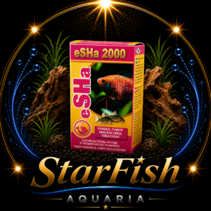 eSHa 2000