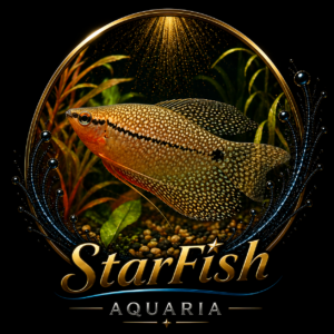 Diamant Gourami