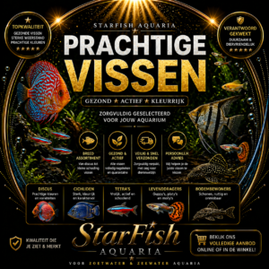 Vissen