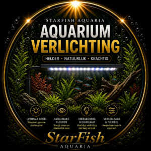 Aquariumverlichting
