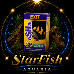 eSHa Exit