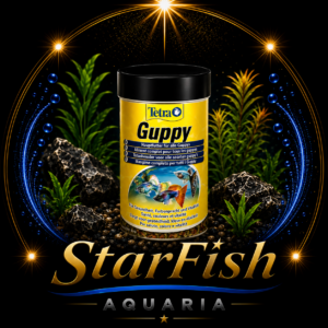 Tetra Guppy