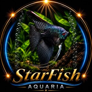 Pterophyllum scalare ‘Black Green Avatar’