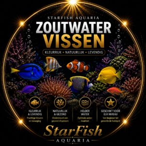 Zoutwatervissen