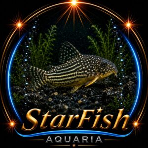 Corydoras Sterbai